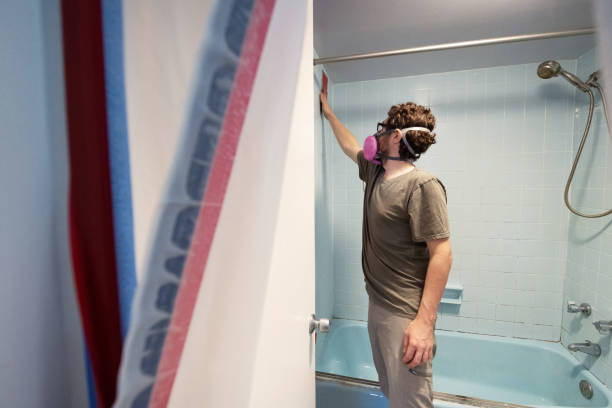 Best Environmental Consulting for Mold Prevention  in Arp, TX