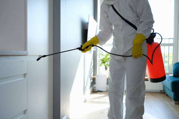 Best Post-Construction Mold Inspection  in Arp, TX