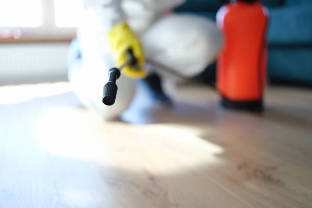 Best HVAC Mold Inspection and Cleaning  in Arp, TX